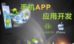 手機(jī)app開(kāi)發(fā)11大步驟、技術(shù)人員、常用接口