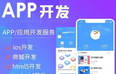 APP軟件開發(fā)公司哪家好？