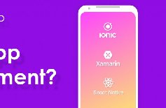 為什么要定制APP開發(fā)，APP開發(fā)定制的好處？